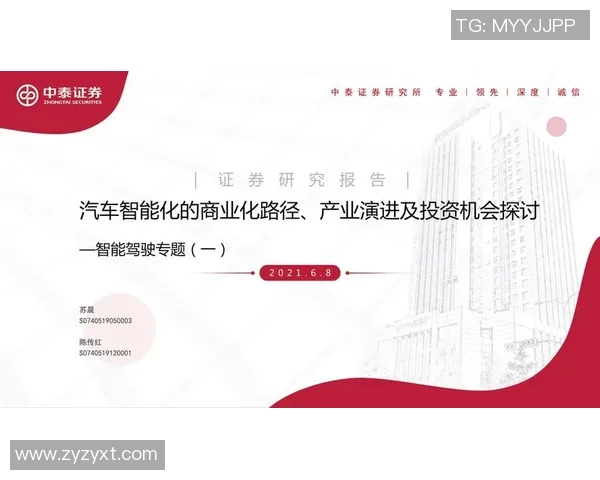 南京排球队灵活性分析与战术创新的深度探讨